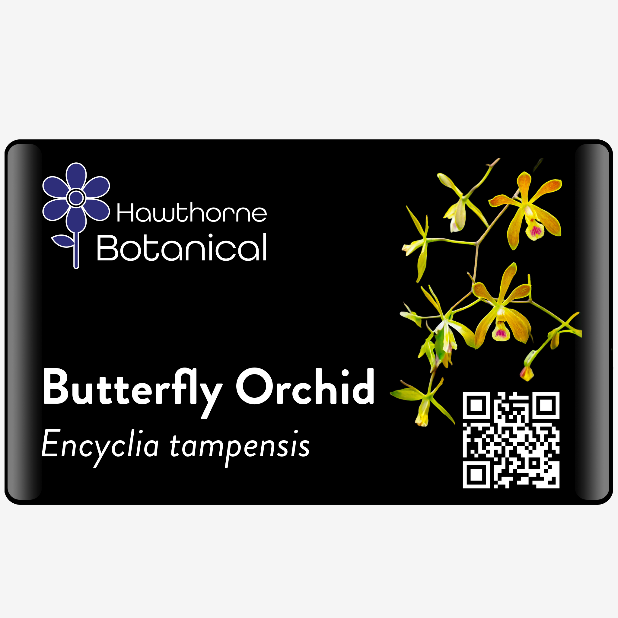 Horticultural Tag