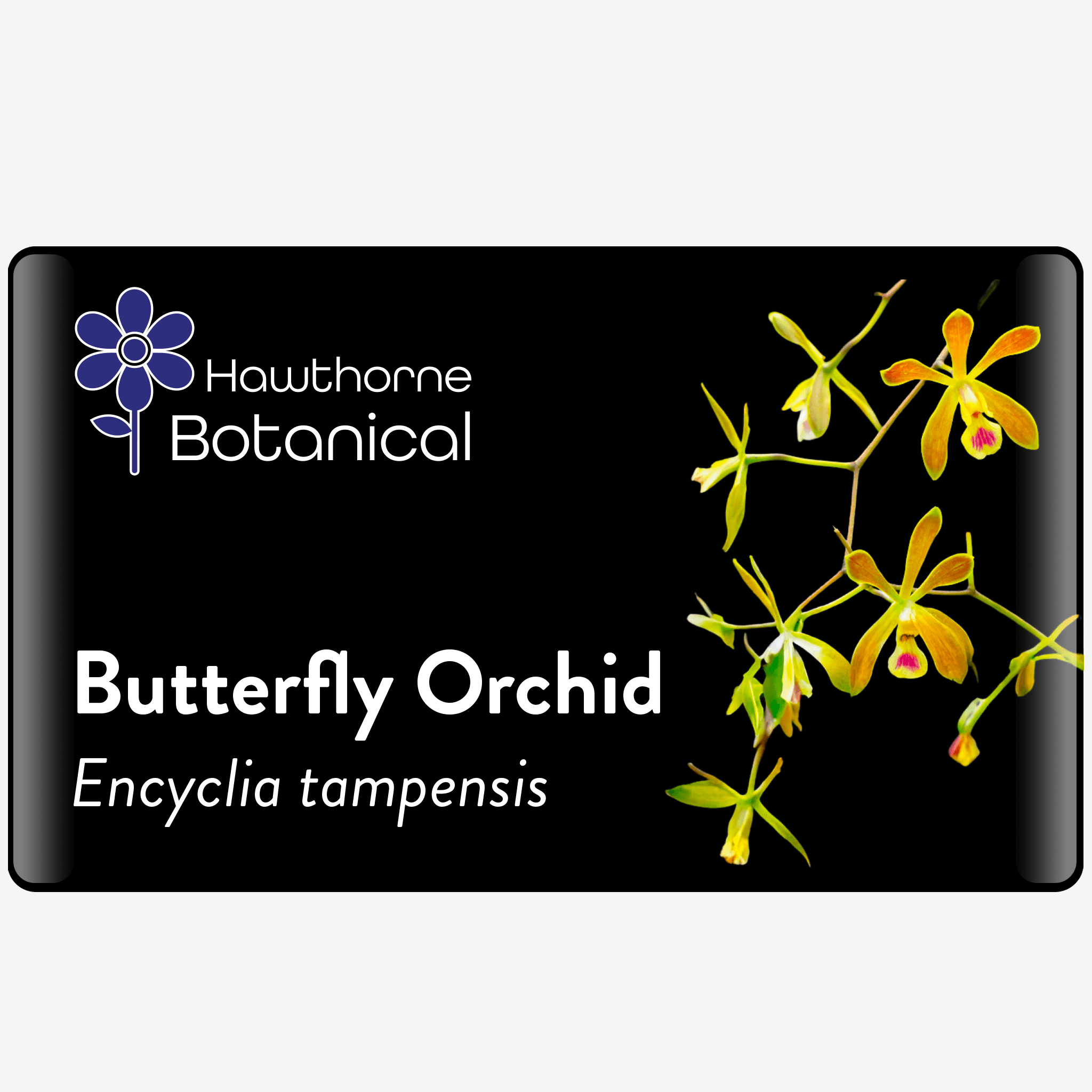 Horticultural Tag