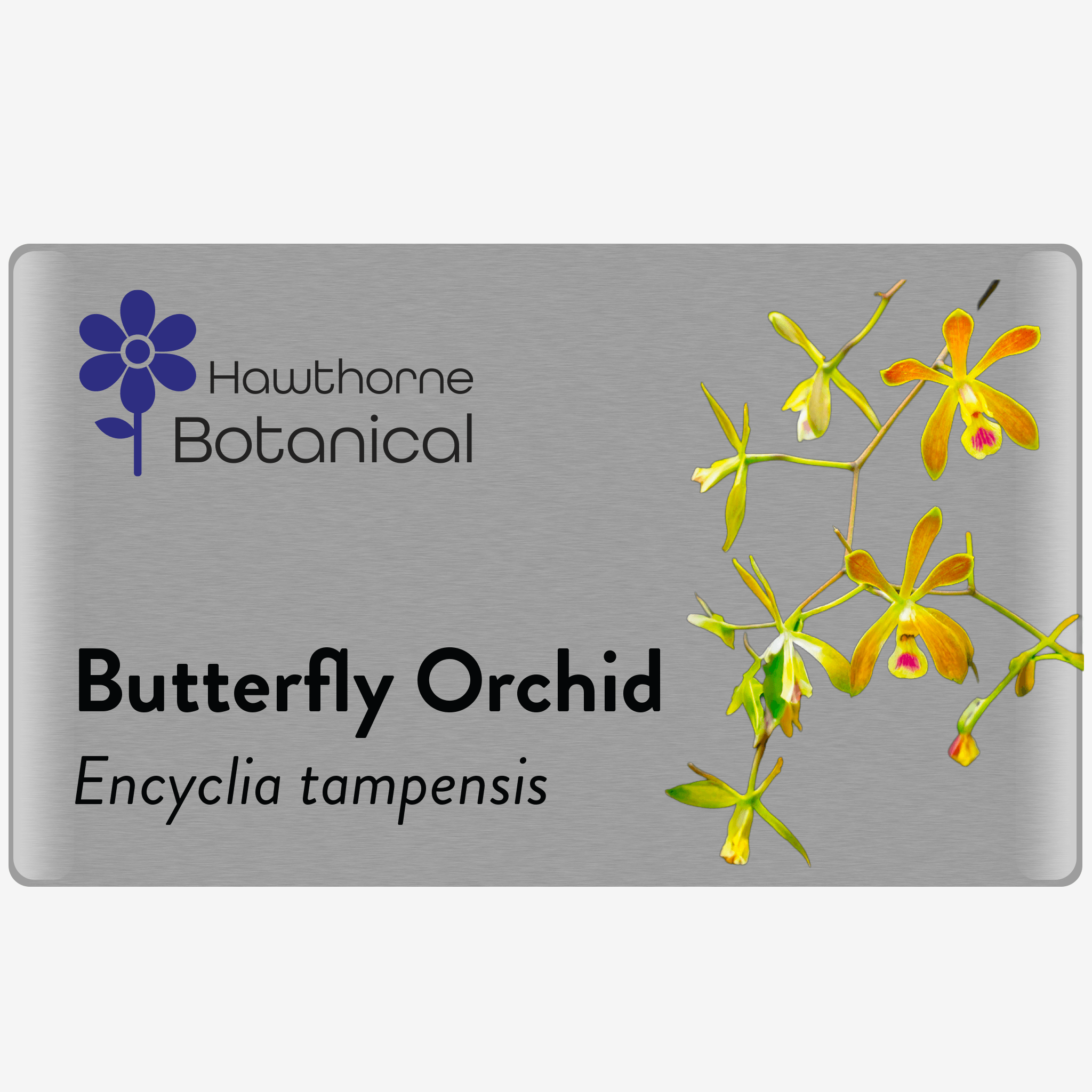 Horticultural Tag